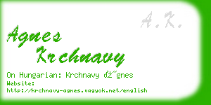 agnes krchnavy business card